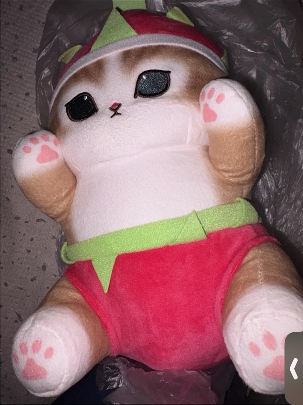 New Mofusand nyan fruits 12 inch plush